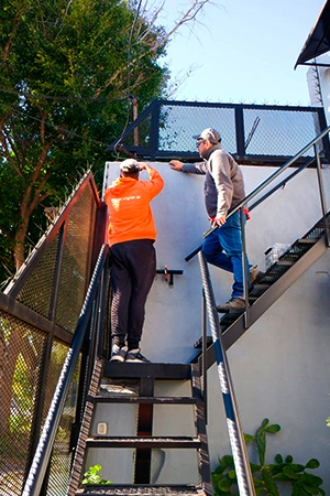 sin título 2 recuperado 8 sin título 2 recuperado 8